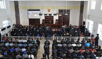 毕节八中最新爆料事件,校园事件引发社会关注